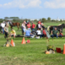 10.  Sajtos-Réti fogathajtó verseny 