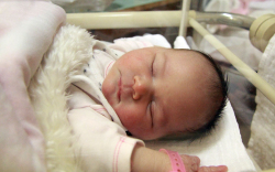 Jakab Enikő Jázmin, Mosonmgayróvár