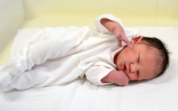 Horváth Franka, Beled