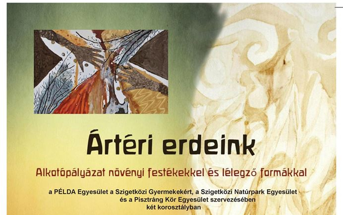 Alkotópályázat - ártéri erdeink védelme érdekében