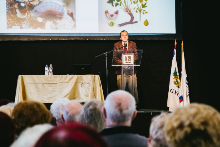 A POLOSKÁKTÓL A HARLEKINKATICÁKIG A GYŐRI NYUGDÍJASEGYETEMEN