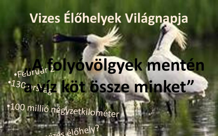 Vizes Élőhelyek Világnapja - február 2.