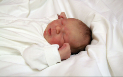 Gyergyovits Énok Zsolt, Mosonmagyaróvár