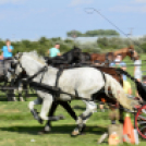 10.  Sajtos-Réti fogathajtó verseny 