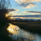 Bánhegyi Photography - Szigetköz képekben