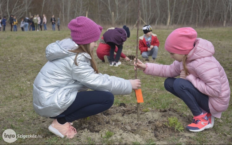 Diákokkal együtt avatták fel a Nefelejcs Gyümölcsöskertet Dunaszigeten