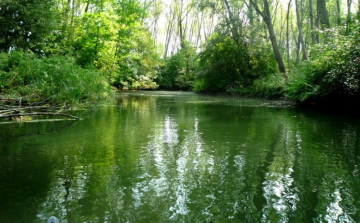 Szigetközi hullámtér ökológiai célú részleges elárasztása