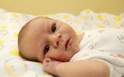 Bálint Áron, Mosonmagyaróvár