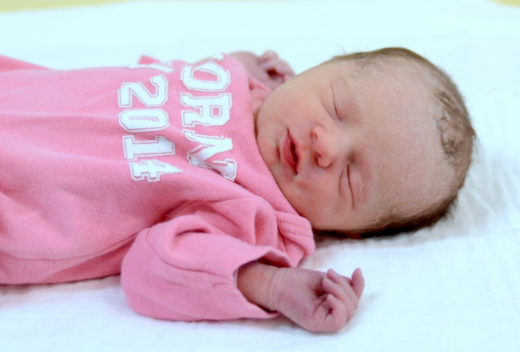 Majlinger Regina, Bősárkány