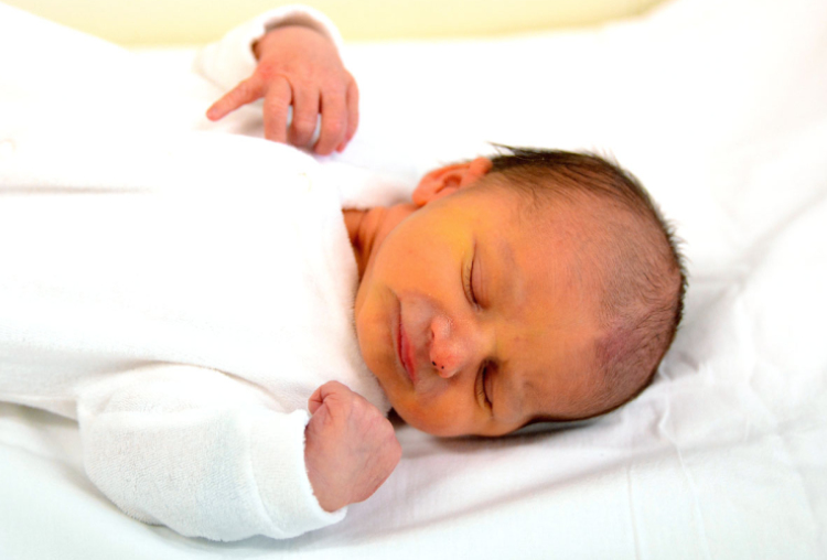 Lang Krisztián, Kisbodak