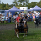 10.  Sajtos-Réti fogathajtó verseny 