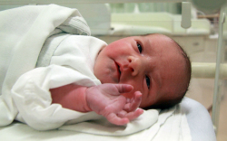 Knolmár Anna, Csorna