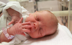 Szalai Virág Eszter, Kapuvár