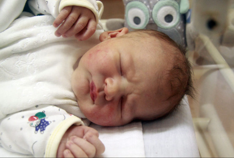 Novics Nimród, Mosonmagyaróvár