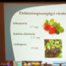 Szigetköz Konferencia - 2018. május 31.