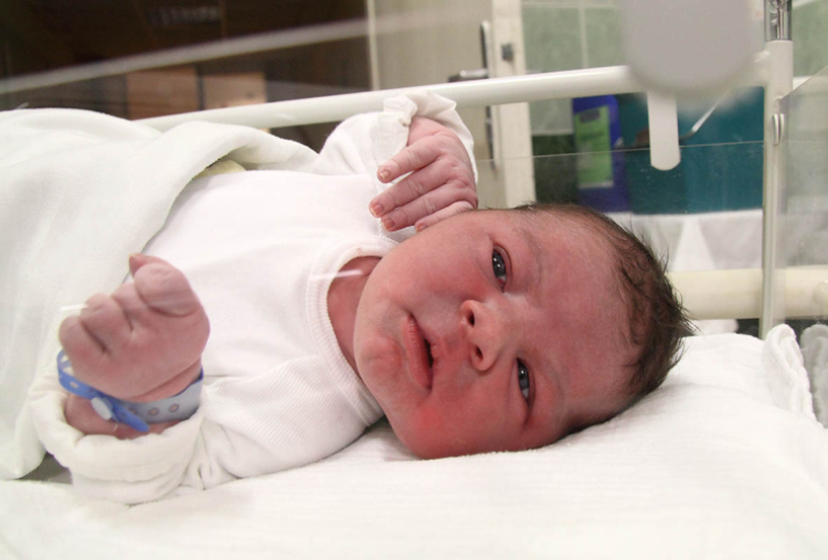 Sedlák Damján Dante, Csorna