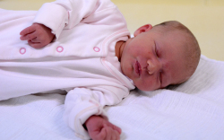 Weintráger Loretta, Mosonmagyaróvár