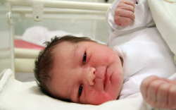 Hegyi Szofi, Kapuvár