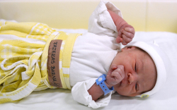 Fazekas Barna, Mosonmagyaróvár