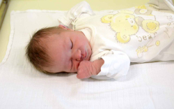 Horváth Hanna, Fertőendréd