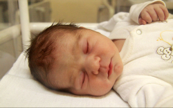 Földes Liza, Jánossomorja