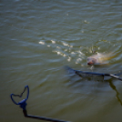 Jótékonysági horgászverseny a mosonmagyaróvári Hospice házért