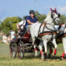 10.  Sajtos-Réti fogathajtó verseny 