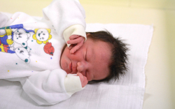 Gregus Balázs Gábor, Öttevény