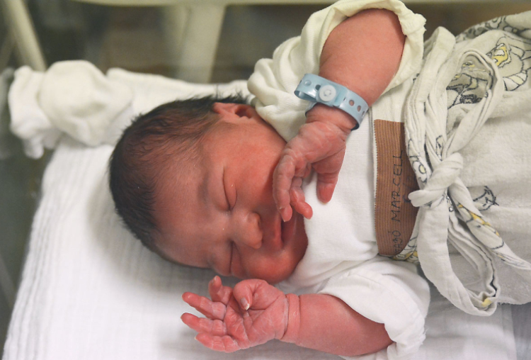 Szabó Marcell, Dunasziget