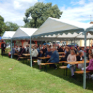 Megyei Nemzetiségi Nap és Megyei Értéknap