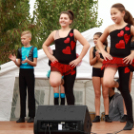 Szigetköz Lelke Pálinkaház - Családi program és a IV. bérfőzetői pálinkaverseny eredményhirdetése