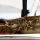 Szigetköz Lelke Pálinkaház - Családi program és a IV. bérfőzetői pálinkaverseny eredményhirdetése