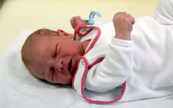 Baranyai Máté, Mosonmagyaróvár