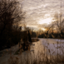 Bánhegyi Photography - Szigetköz képekben