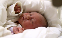 Sörös Boglárka, Máriakálnok