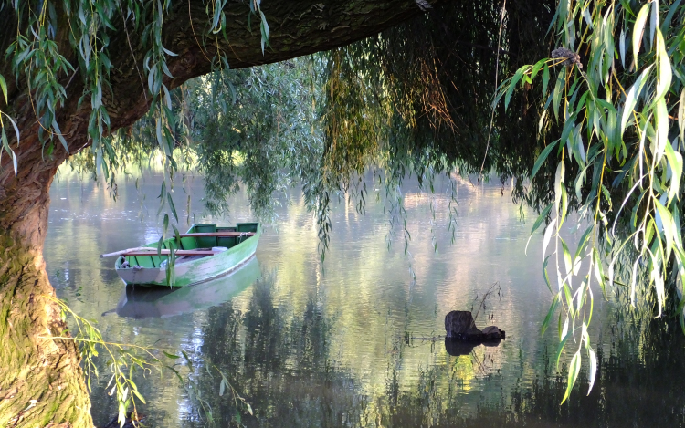 Szigetközi fotós sikere Budapesten