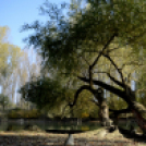 Bánhegyi Photography - Szigetköz képekben