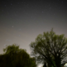 Egy éjszaka a Lajta parton 