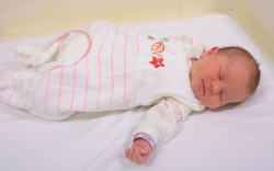 Németh Zora, Mosonmagyaróvár