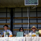 11. Sajtos-Réti fogathajtó verseny 