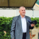 Megyei Nemzetiségi Nap és Megyei Értéknap