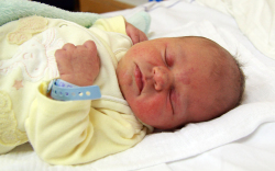 Mezei Zoé, Mosonmagyaróvár