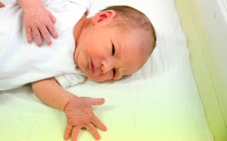 Németh Balázs, Mihályi