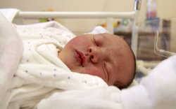 Menyhárt Abigél, Mosonmagyaróvár