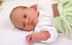 Tóth Zsófi, Mosonmagyaróvár