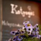 Zero Waste életmód előadás a Győri Kotyogós Cafe-ban