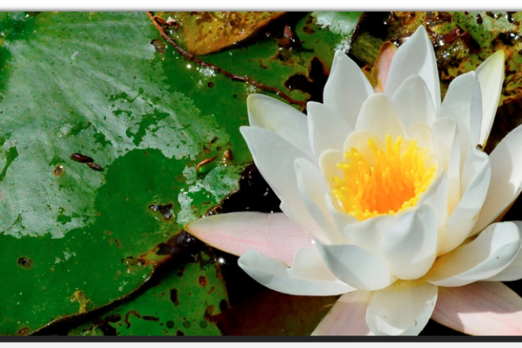 Üdvözlet Kisbodakról