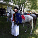 Szigetközi gulyahajtás 2018