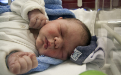 Sütő Róbert, Hegyeshalom