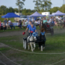 10.  Sajtos-Réti fogathajtó verseny 